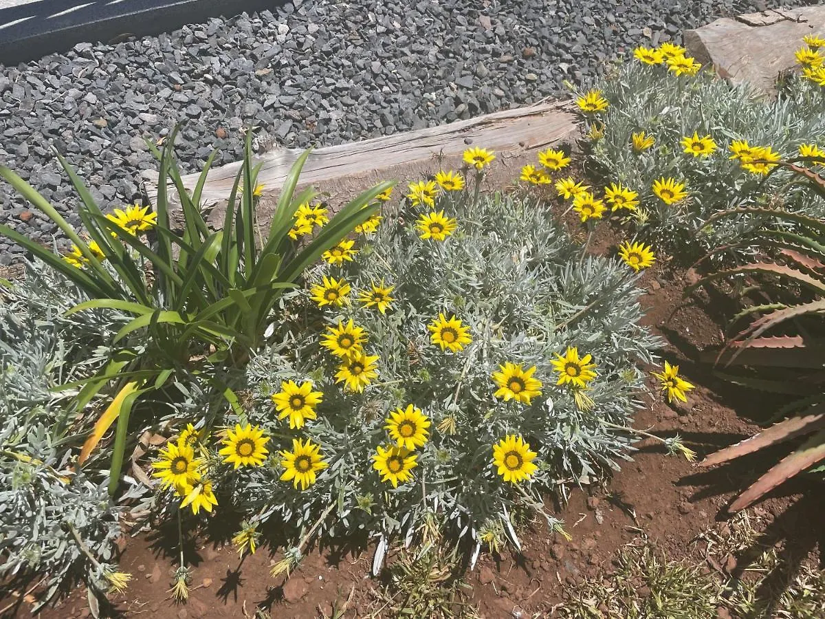 فيلة King'S Paradise Estreito Da Calheta البرتغال